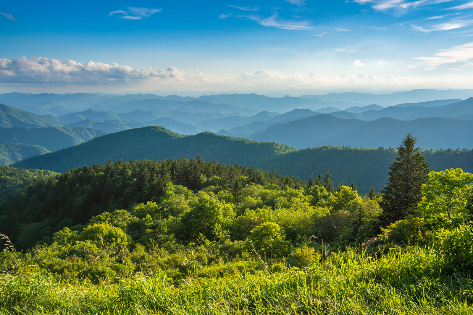 Smoky Mountain view covered in greenery