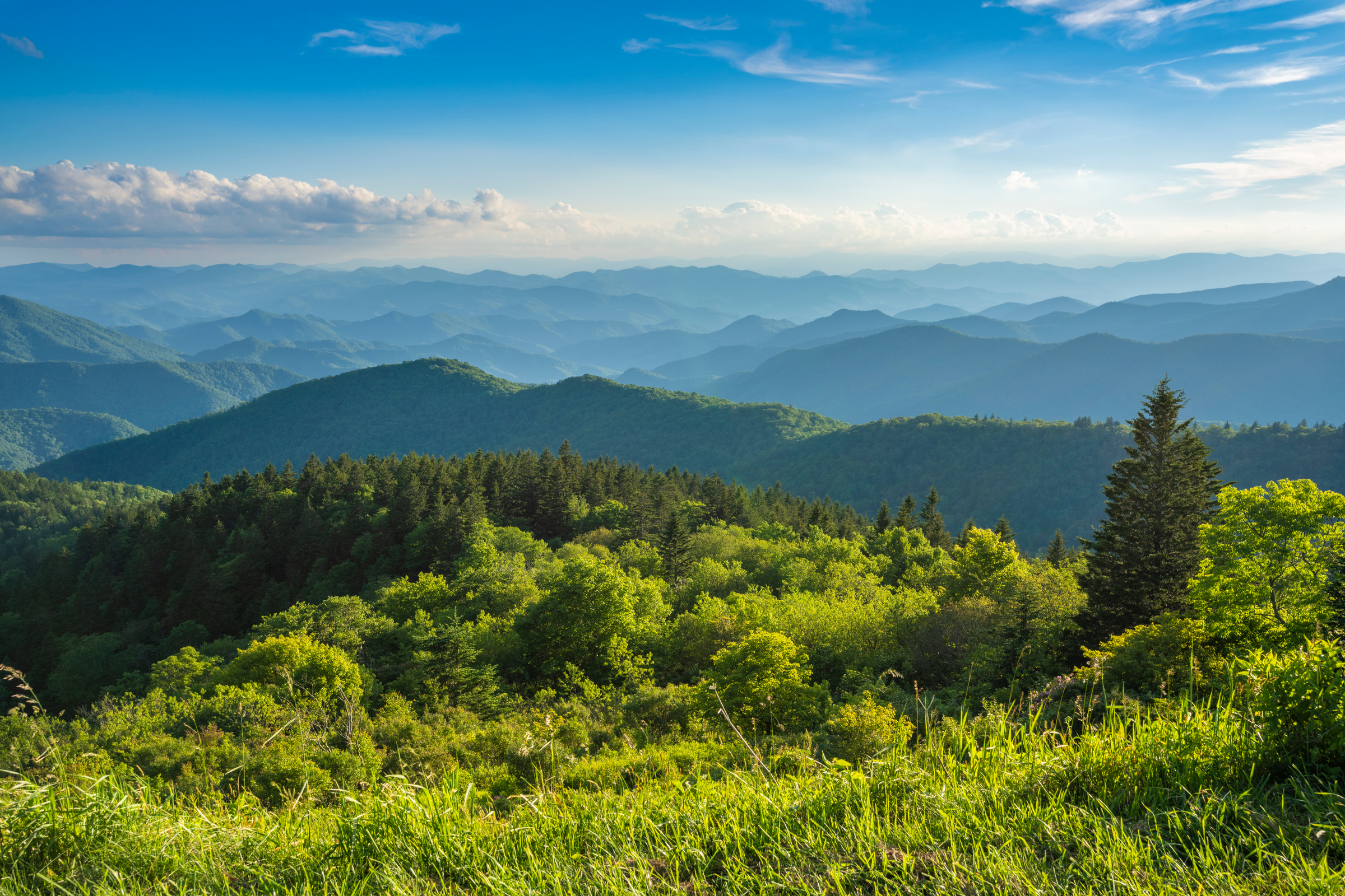 Smoky Mountain view covered in greenery