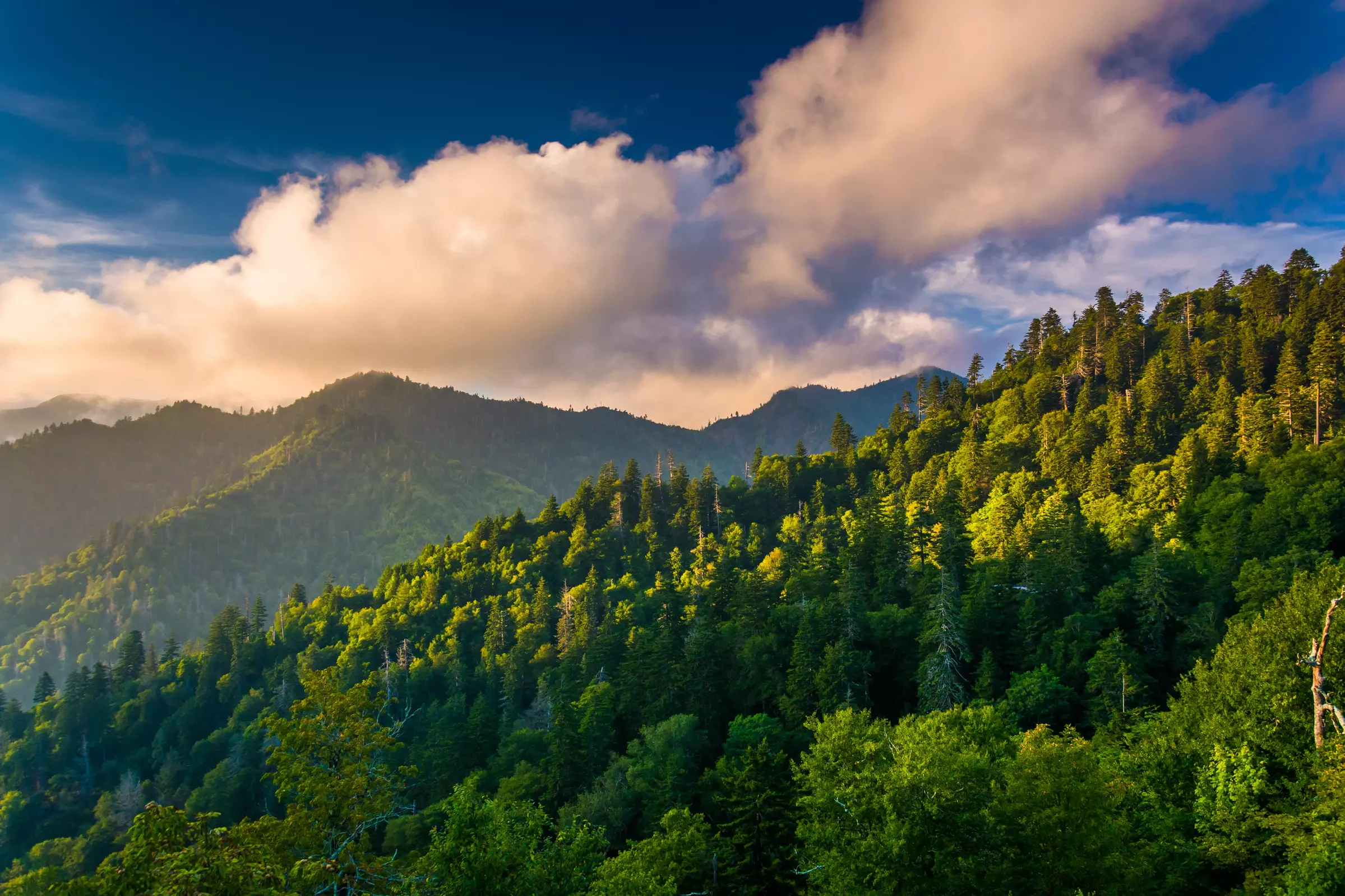 Smoky Mountains covered in green trees