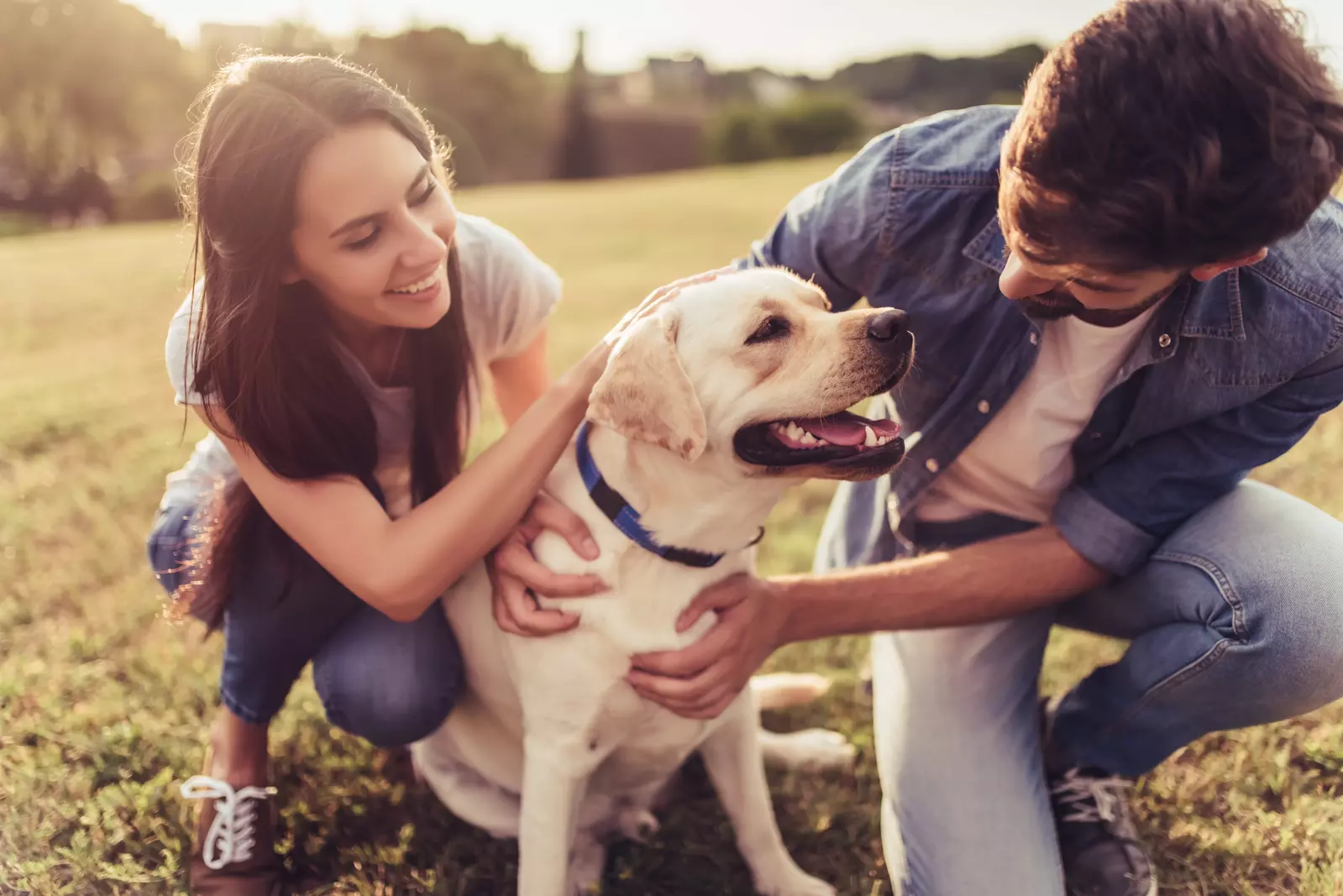 man and woman petting dog