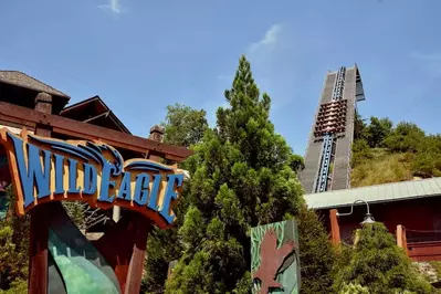 Wild Eagle roller coaster at Dollywood