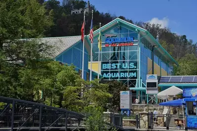 ripleys aquarium