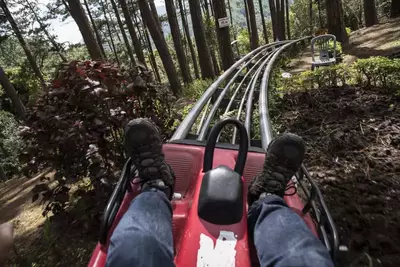 mountain coaster