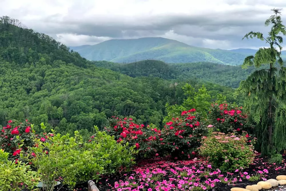 smokies in spring