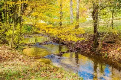 peaceful creek cabin on the river