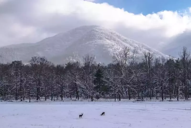 Cades Cove snow