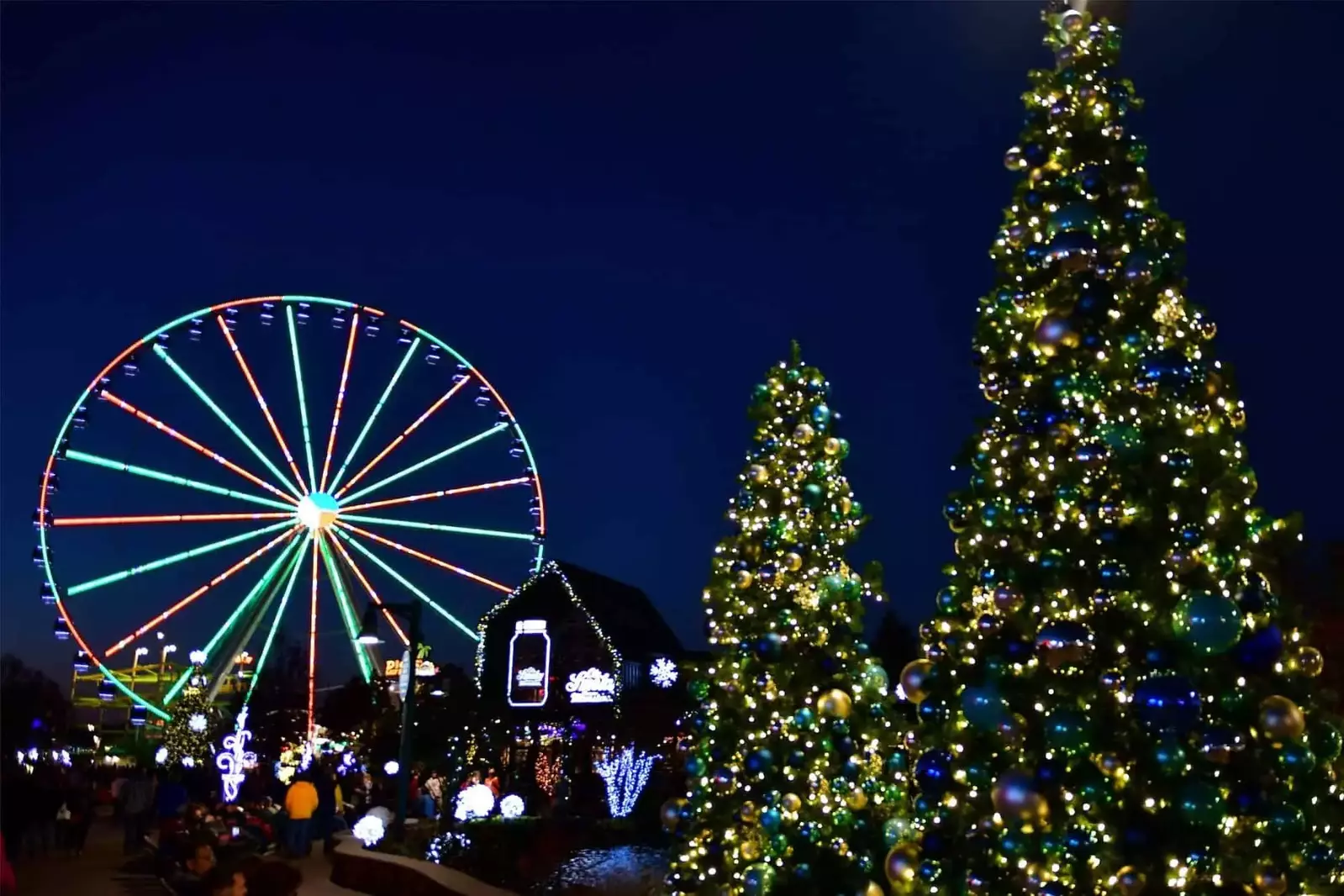 island wheel and christmas trees