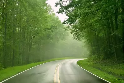 wet road on a rainy day in the Smoky Mountains