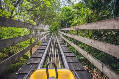 The track of the Smoky Mountain Alpine Coaster in Pigeon Forge Tn