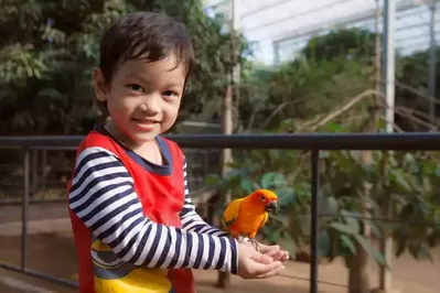 A young boy with a parrot on his hand.