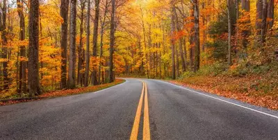 Little River Road in the Smoky Mountains during the fall.