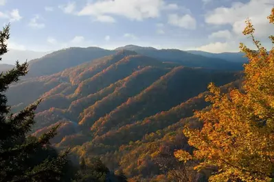 Fall colors in Newfound Gap in the Smoky Mountains.