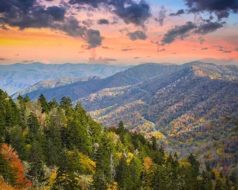 Stunning fall colors on Newfound Gap Road.