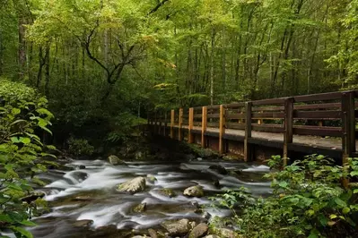 A bridge over a stream in the Great Smoky Mountains National Park.