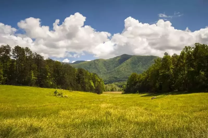 A picture of Cades Cove taken on a Smoky Mountain cabin vacation.