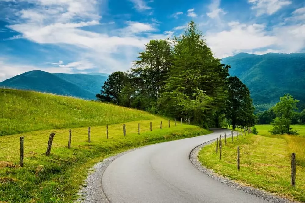 A paved road in Cades Cove.