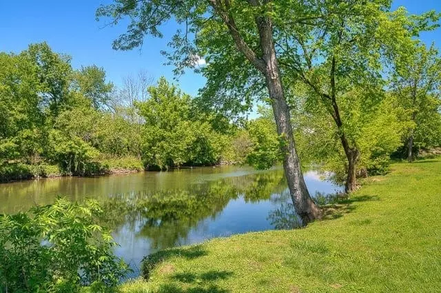 Scenic photo of the water taken near our Pigeon Forge rentals on the river.