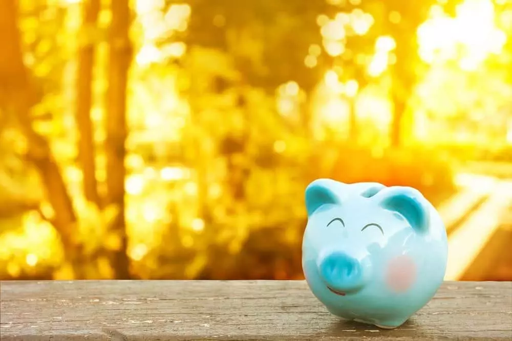 A piggy bank sitting in the sun at one of our Gatlinburg Tennessee mountain cabins.