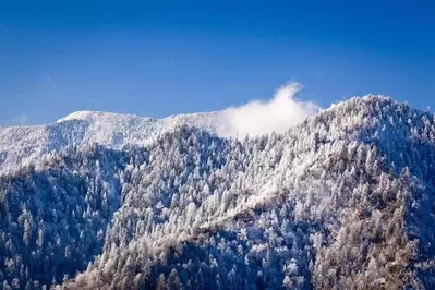 Photo of snow in the Smoky Mountains.