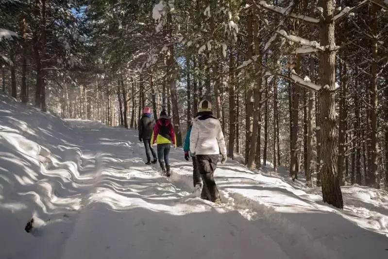 A group of people going hiking in the Smoky Mountains during the winter.