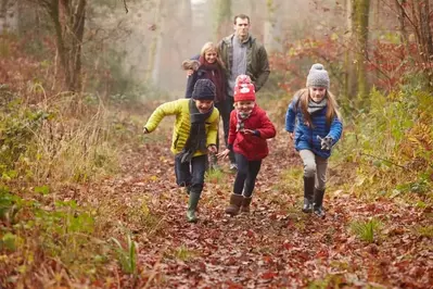 Family enjoying a hike in the woods during fall.