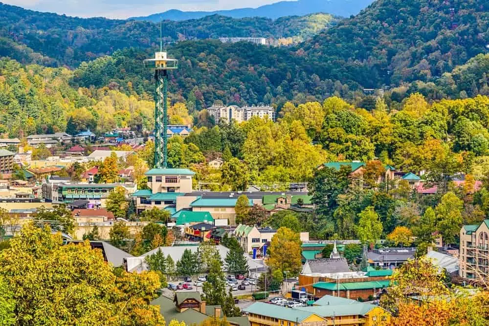 Downtown, near our cabins between Gatlinburg and Pigeon Forge.