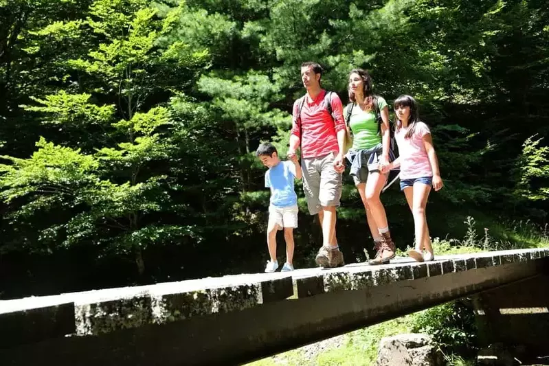 family hiking in Pigeon Forge TN