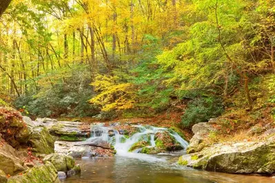 white water rafting in Gatlinburg