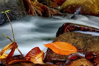 Little River Trail in the Smoky Mountains National Park