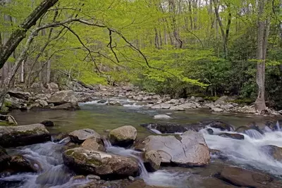 Picturesque stream in the Great Smoky Mountains