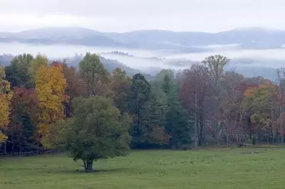 Fall colors in the Great Smoky Mountains National Park