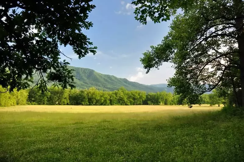 Grassy open field in the Smoky Mountains