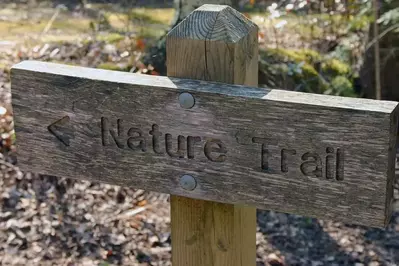 Follow the Great Smoky Mountains National Park tips that point to the nature trail