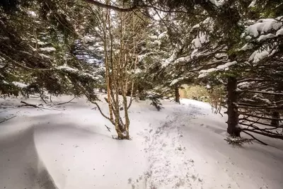 Snow on a trail in the Smoky Mountains