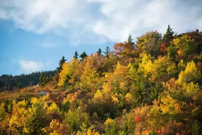 Fall colors in the Great Smoky Mountains National Park