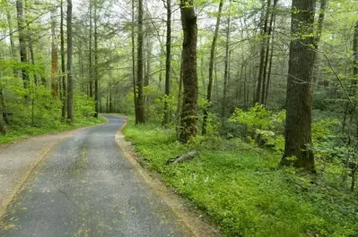 Driving tour on Roaring Fork