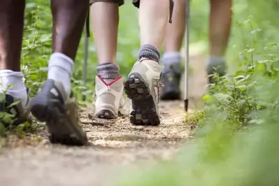 Hiking boots walking on a trail in the mountains