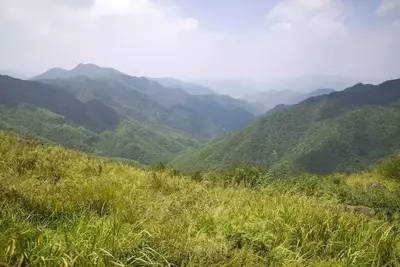 View of the greenery in the mountains