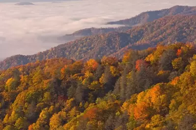 Fall in the Great Smoky Mountains