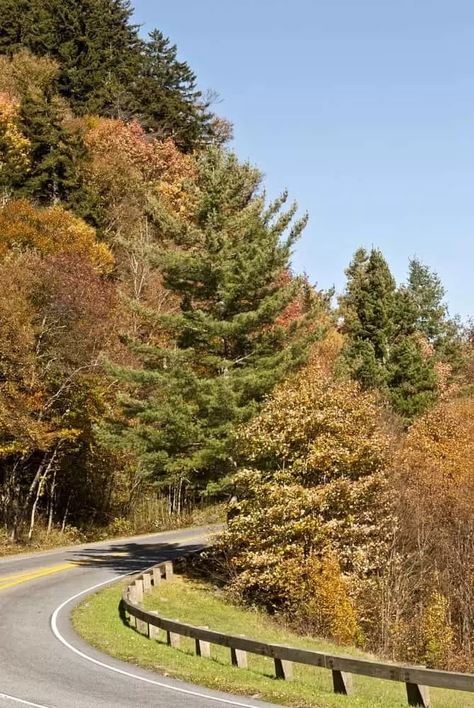 Winding road in the Great Smoky Mountains National Park