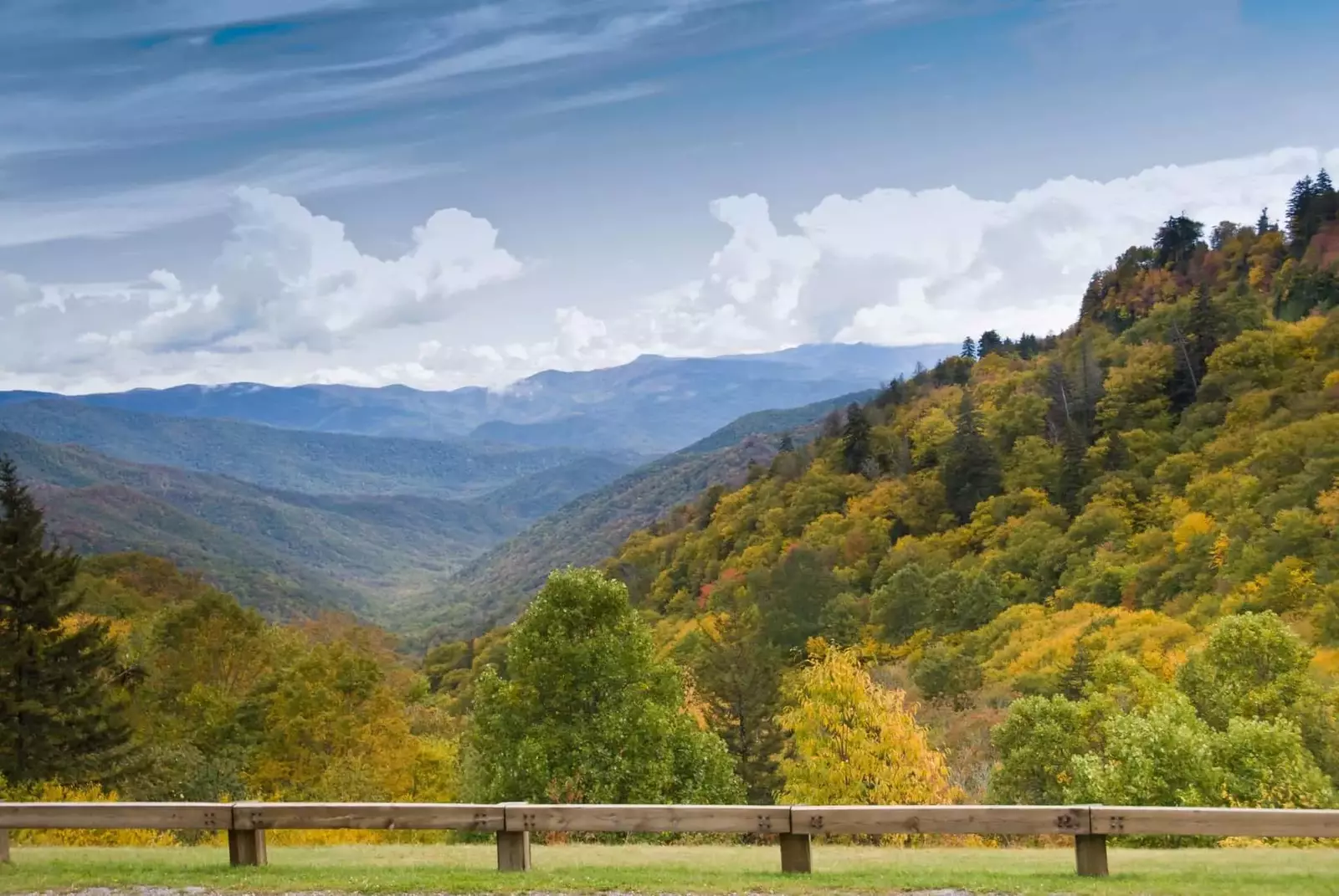 View from Newfound Gap Road