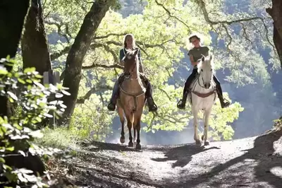 Two people riding horses through the woods