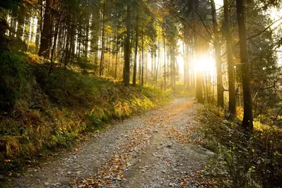 Hiking trail in the sunset