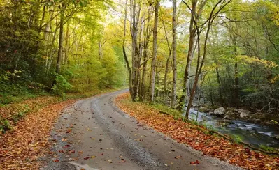 Smoky Mountain Road