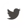 twitter-icon-white