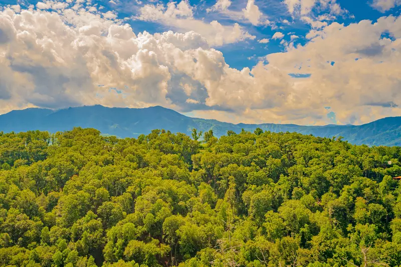 A Gatlinburg Heavenly View