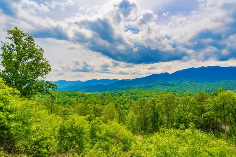 A Beautiful Gatlinburg Dream