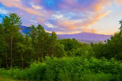 Gatlinburg Mountain Romance