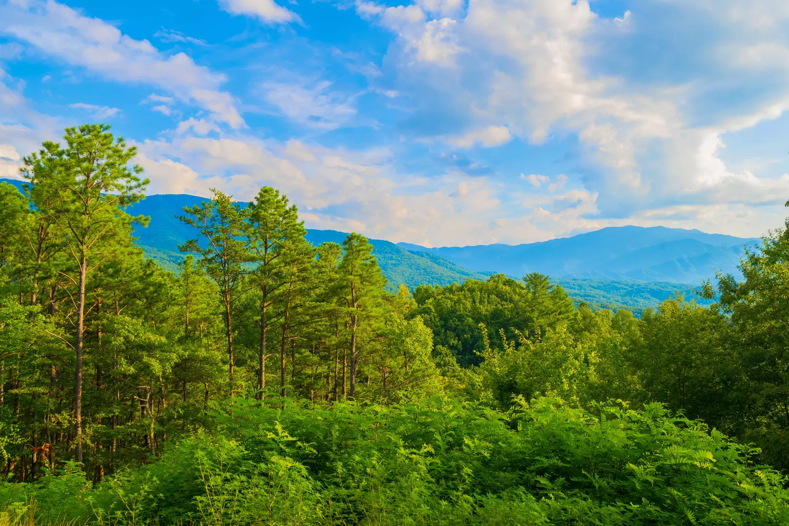 Gatlinburg Mountain Romance