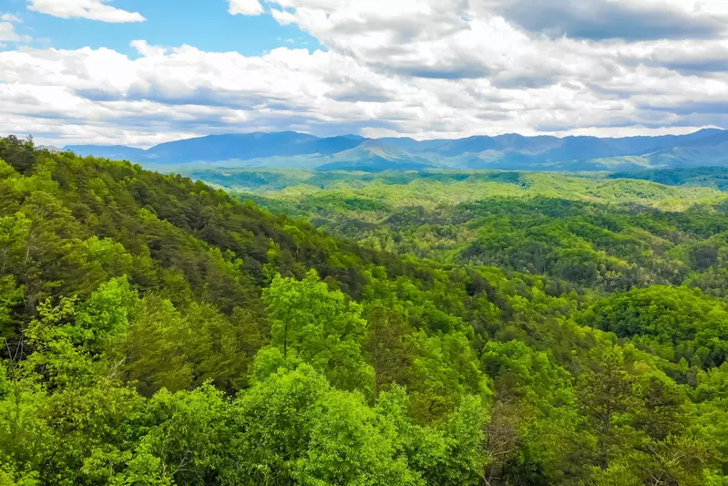 LeConte Overlook